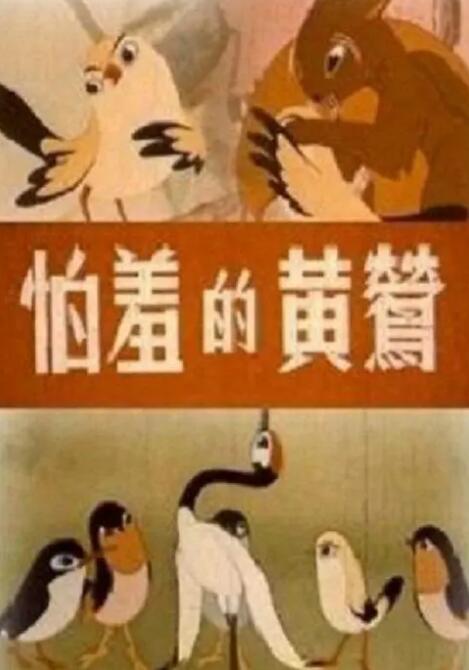 视频在线一区二区