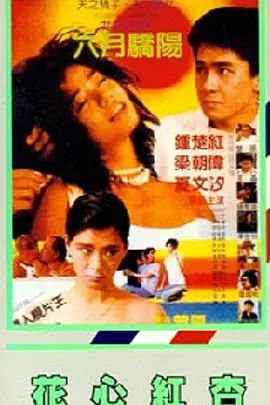日韩高清视频一区