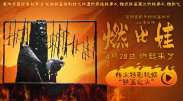 九九在线观看精品视频6