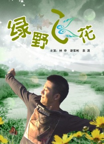 久久精品免费视频观看