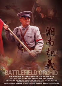 福利免费在线