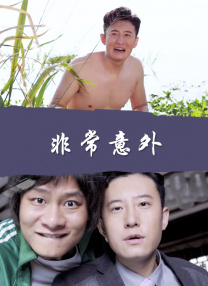 那里有其他的东西