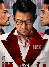 小入视频