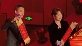天天干天天插伊人网